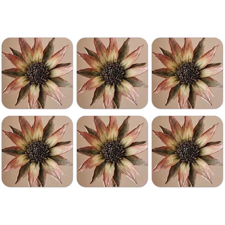 Droogbloem - Protea - Vintage - Beige - Rustiek onderzetter kurk middel -zkaufland3dotto