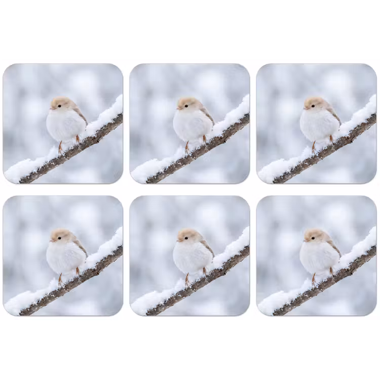 Vogeltje - Sneeuw - Tak - Winter - Zacht onderzetter kurk middel -zkaufland3dotto