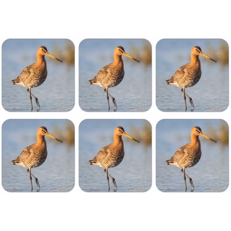 Vogel - Steltloper - Water - Natuur onderzetter kurk middel -zkaufland3dotto