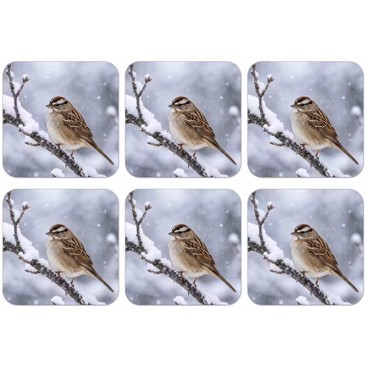 Vogel - Tak - Sneeuw - Winter onderzetter kurk middel -zkaufland3dotto