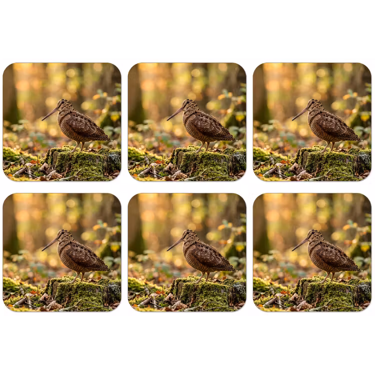 Houtsnip - Bos - Bladeren - Herfst - Gecamoufleerd onderzetter kurk middel -zkaufland3dotto