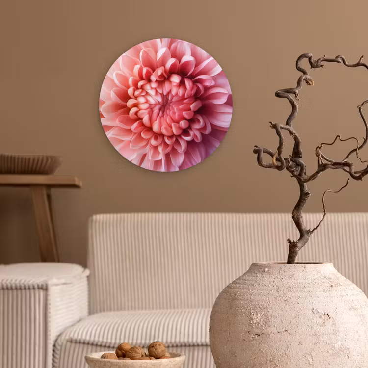 Dahlia - Bloem - Close up - Roze Wandcirkel plexiglas klein -sfeer1