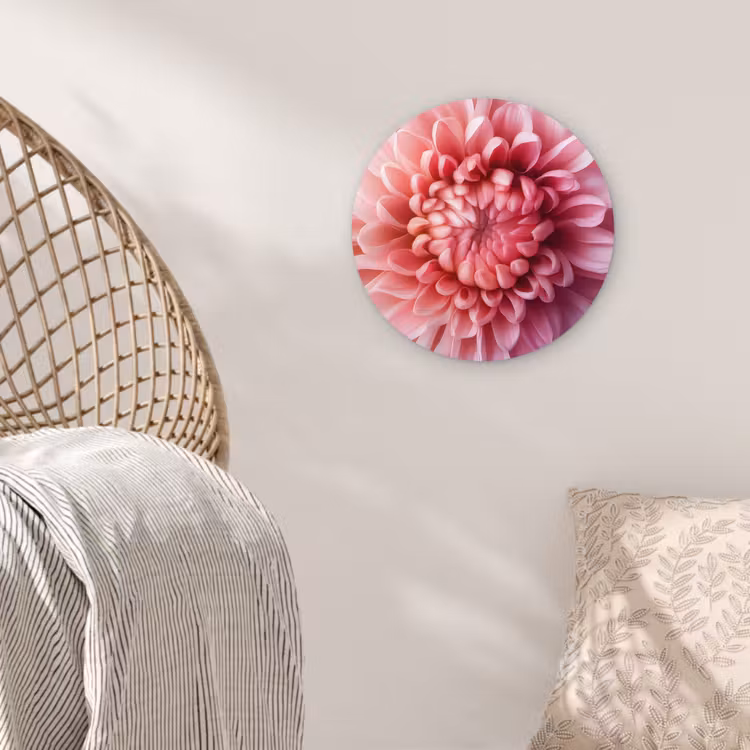 Dahlia - Bloem - Close up - Roze Wandcirkel plexiglas klein -sfeer5