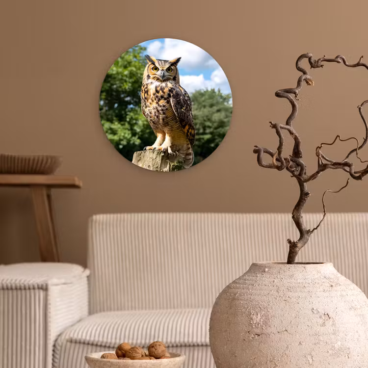 Uil - Boomstronk - Bos - Lucht Wandcirkel plexiglas klein -sfeer1