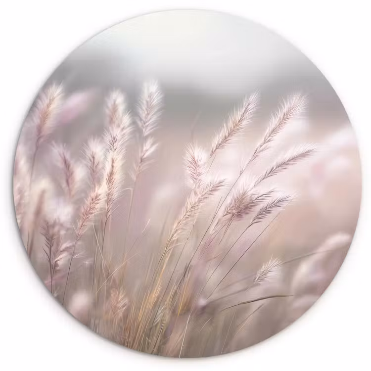 Graspluimen - Wind - Beige - Mistig Wandcirkel plexiglas klein -3d