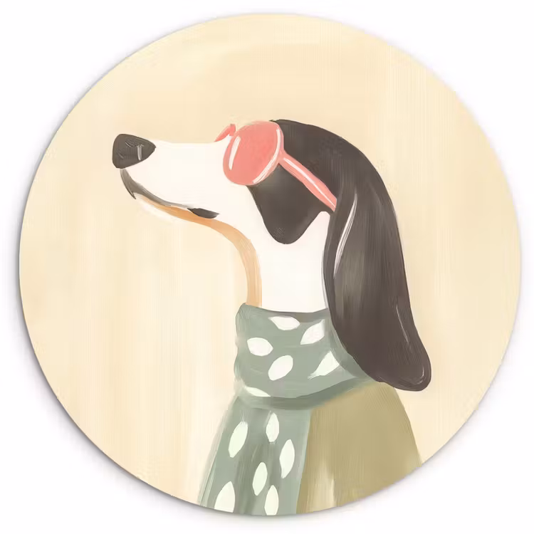 Hond - Zonnebril - Sjaal Wandcirkel plexiglas klein -3d