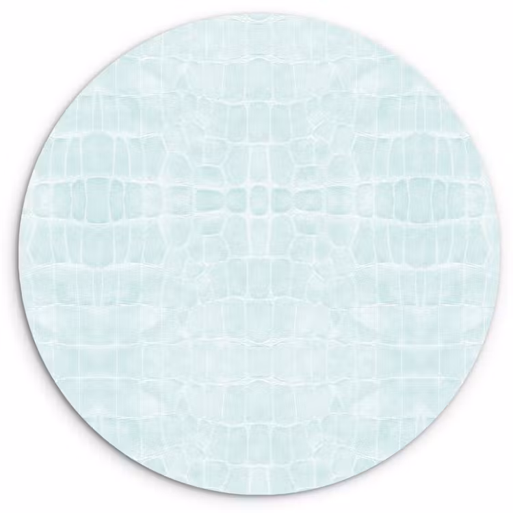 Krokodil - Leer - Mint - Groen Wandcirkel plexiglas klein 852 -3d