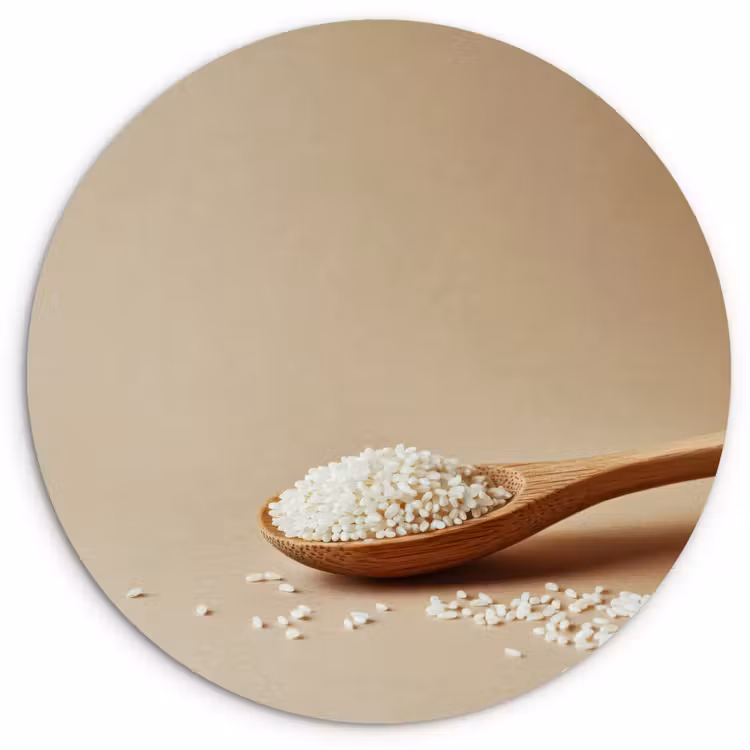 Lepel - Rijst - Hout - Beige Wandcirkel plexiglas klein -3d