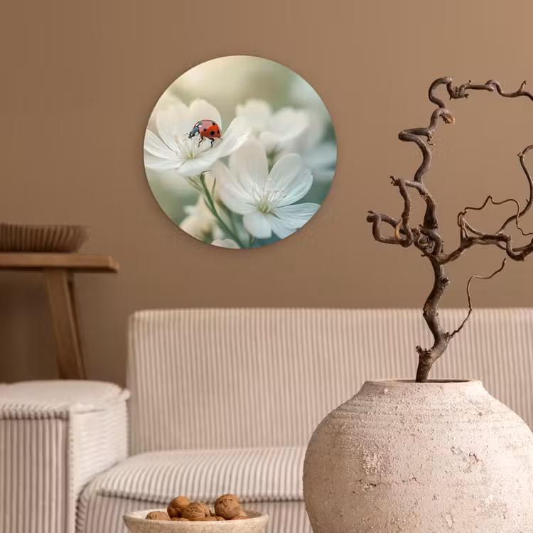 Lieveheersbeestje - Bloemen - Wit Wandcirkel plexiglas klein -sfeer1