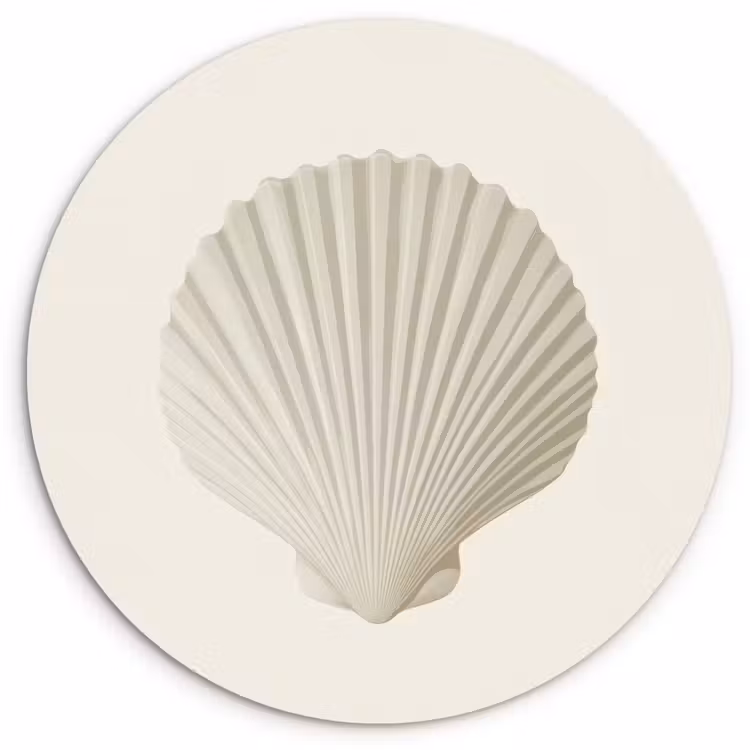 Schelp - Minimalistisch - Wit Wandcirkel plexiglas klein -3d