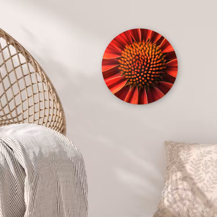 Close up - Bloem- Rood Wandcirkel plexiglas klein -sfeer5