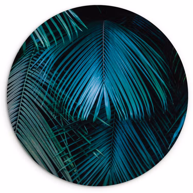 Palmblad - Tropisch - Natuur - Jungle Wandcirkel plexiglas klein -3d