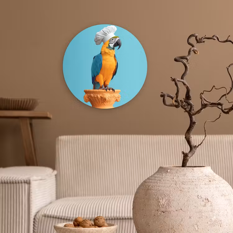 Papegaai - Koksmuts - Grappig - Vogel Wandcirkel plexiglas klein -sfeer1