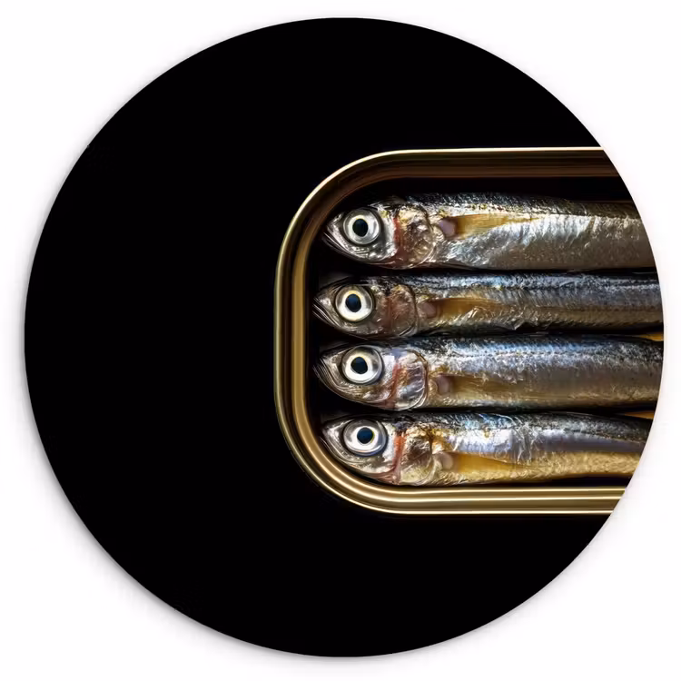 Sardines - Blik - Zwart - Vissen Wandcirkel plexiglas klein -3d