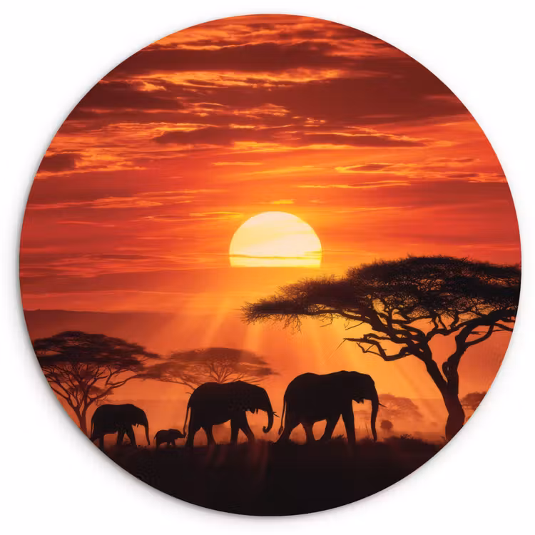 Savanne - Olifanten - Zonsondergang Wandcirkel plexiglas klein -3d