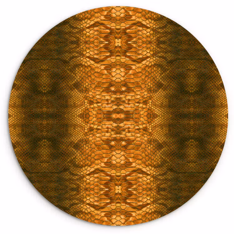 Slang - Boa - Amber Wandcirkel plexiglas klein 852 -3d