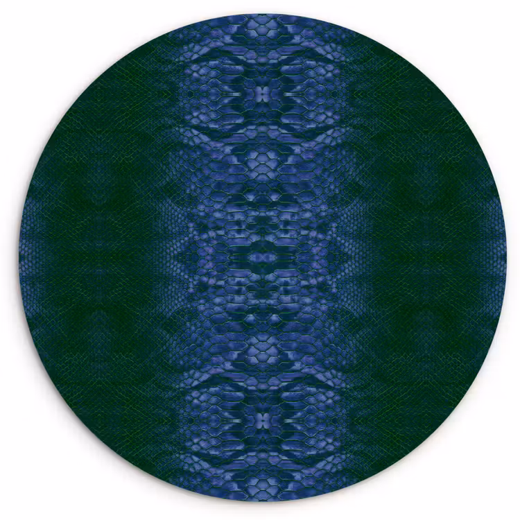 Slang - Boa - Blauw - Groen Wandcirkel plexiglas klein 852 -3d