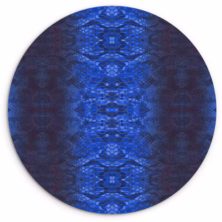 Slang - Boa - Blauw - Rood Wandcirkel plexiglas klein 852 -3d
