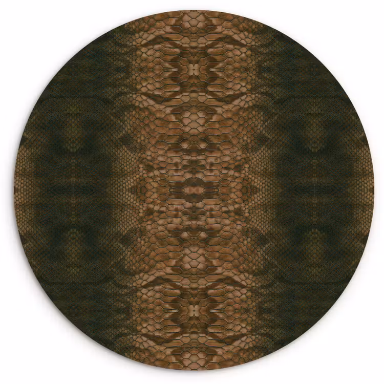Slang - Boa - Bruin Wandcirkel plexiglas klein 852 -3d