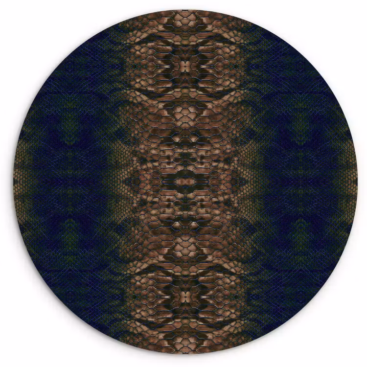 Slang - Boa - Bruin - Blauw Wandcirkel plexiglas klein 852 -3d