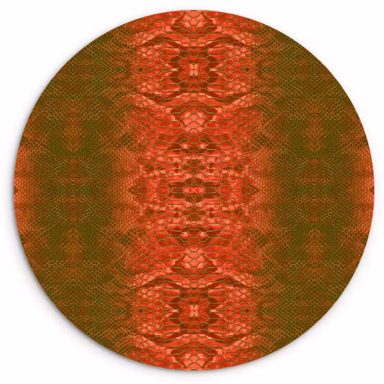 Slang - Boa - Groen - Rood Wandcirkel plexiglas klein 852 -3d