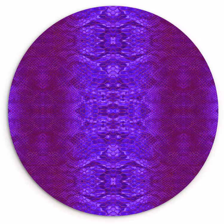 Slang - Boa - Paars Wandcirkel plexiglas klein 852 -3d