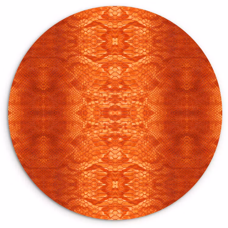 Slang - Boa - Oranje Wandcirkel plexiglas klein 852 -3d