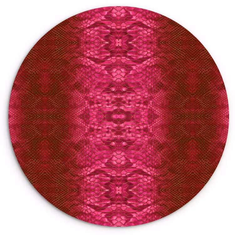 Slang - Boa - Roze Wandcirkel plexiglas klein 852 -3d