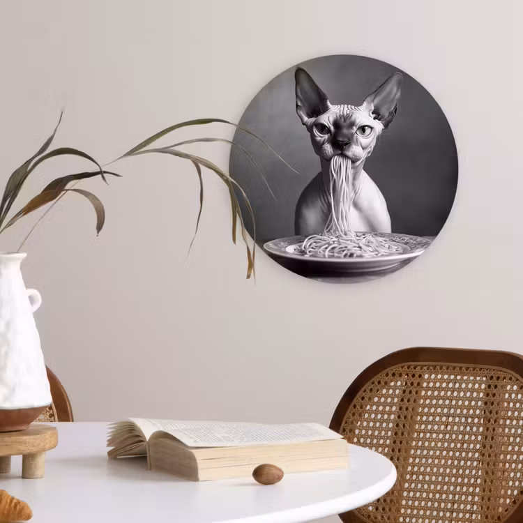 Sphynx - Kat - Dieren - Humor - Spaghetti - Zwart Wit Wandcirkel plexiglas klein -sfeer4