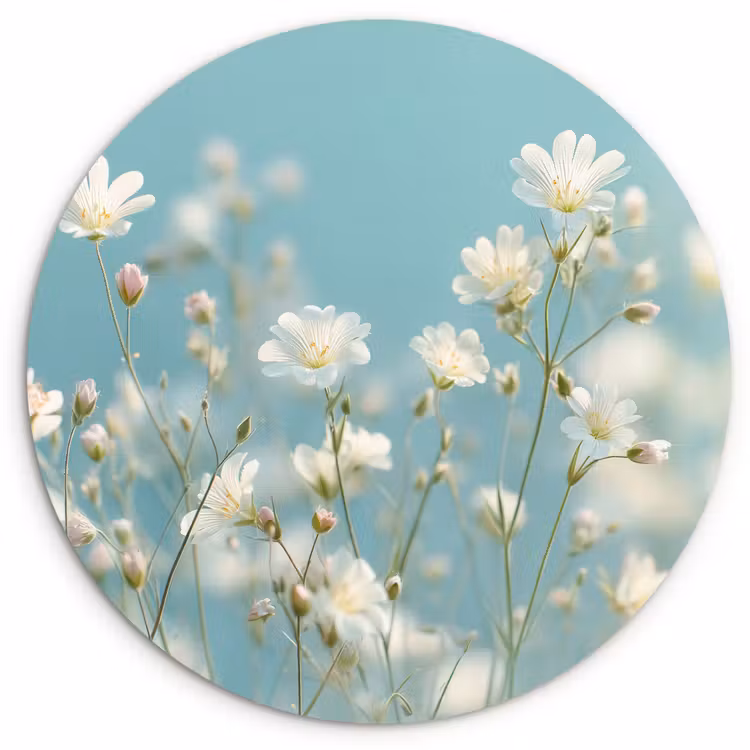 Stengels - Bloemen - Lucht - Wit Wandcirkel plexiglas klein -3d