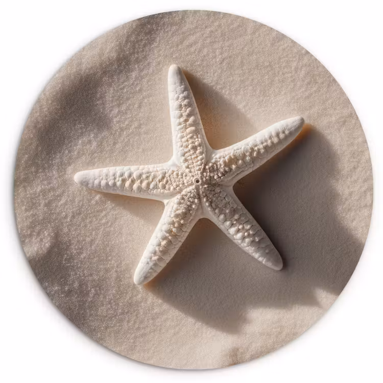 Strand - Zeester - Zand - Beige Wandcirkel plexiglas klein -3d