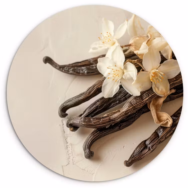Vanille - Bloemen - Beige Wandcirkel plexiglas klein -3d