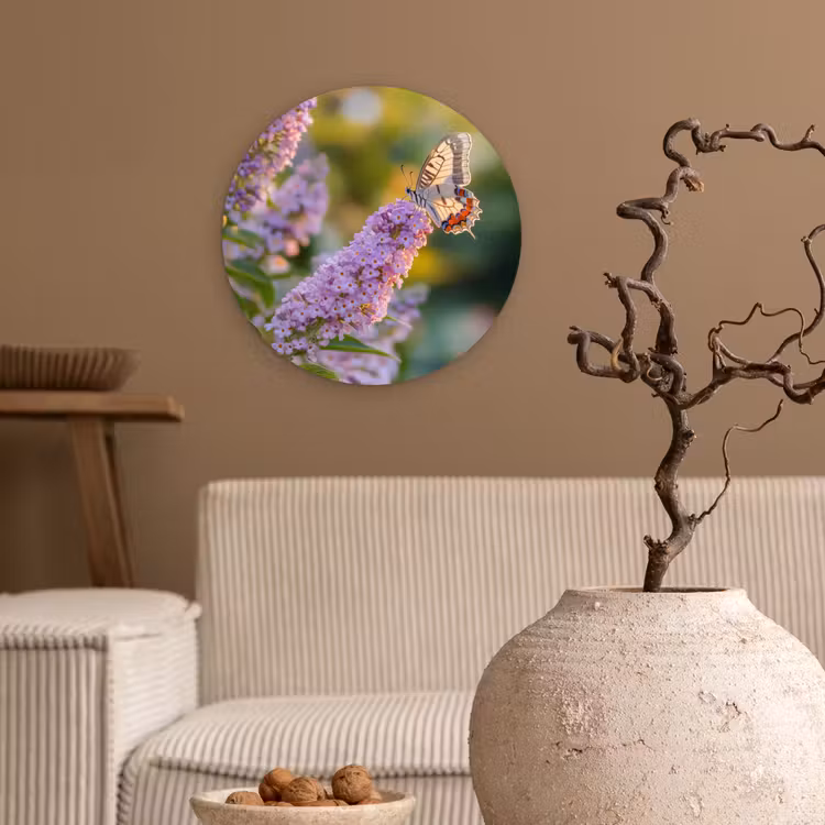 Sierlijke - Vlinder - Paarse - Bloemen Wandcirkel plexiglas klein -sfeer1