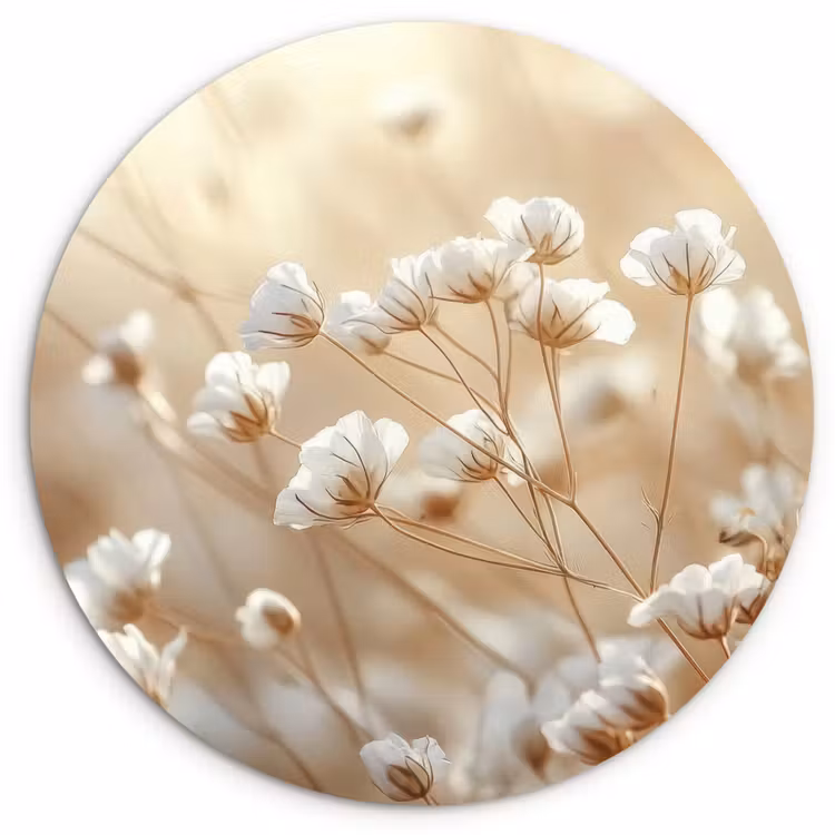 Wilde - Bloemen - Wit Wandcirkel plexiglas klein -3d