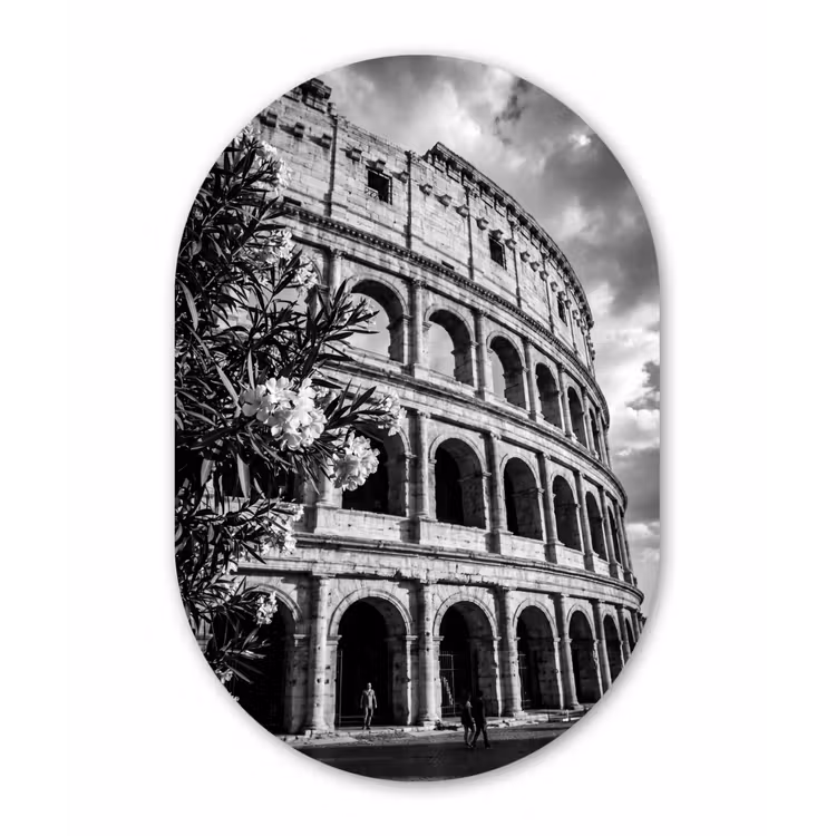 Architectuur - Colosseum - Rome - Historisch - Zwart-wit Wandcirkel Ovaal Aluminium middel -3d