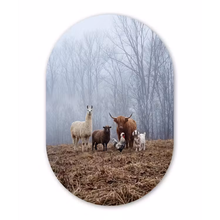 Boerderijdieren - Groep - Mist - Natuur - Rustiek Wandcirkel Ovaal Aluminium middel -3d