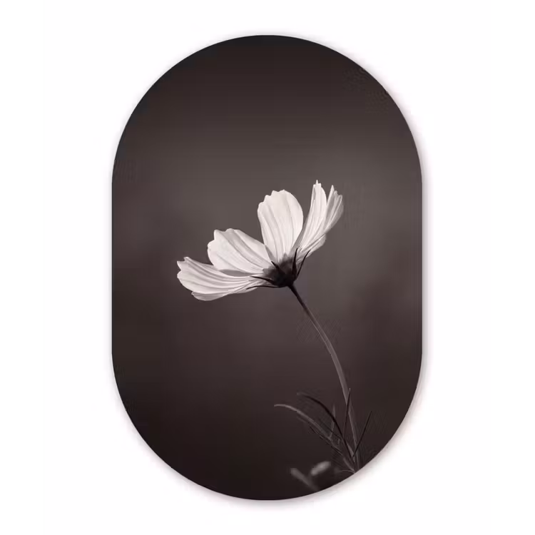 Bloem - Minimalistisch - Zwart - Wit Wandcirkel Ovaal Aluminium middel -3d