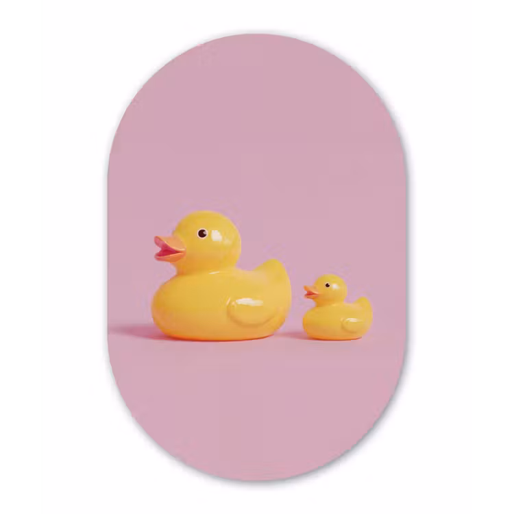 Eendjes - Vrolijk - Roze Wandcirkel Ovaal Aluminium middel -3d