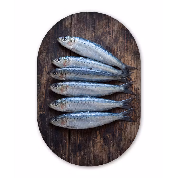 Wandoval - Aluminium - Fisch – Holz – Essen - Vis - Hout - Eten Wandcirkel Ovaal Aluminium middel