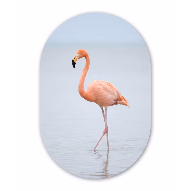 Flamingo - Zee - Roze Wandcirkel Ovaal Aluminium middel -3d