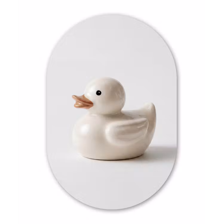Badeend - Minimalistisch - Wit Wandcirkel Ovaal Aluminium middel -3d
