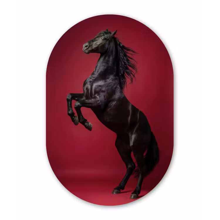 Hengst - Steigert - Rood Wandcirkel Ovaal Aluminium middel -3d