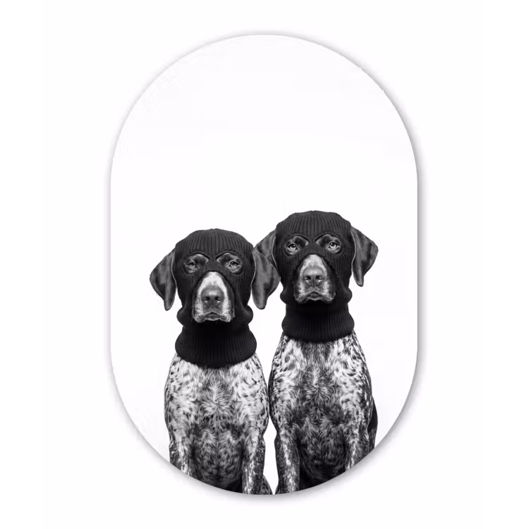 Honden - Bivakmuts - Zwart - wit Wandcirkel Ovaal Aluminium middel -3d