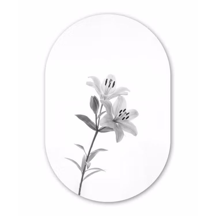 Lelies - Elegant - Zwart - Wit Wandcirkel Ovaal Aluminium middel -3d
