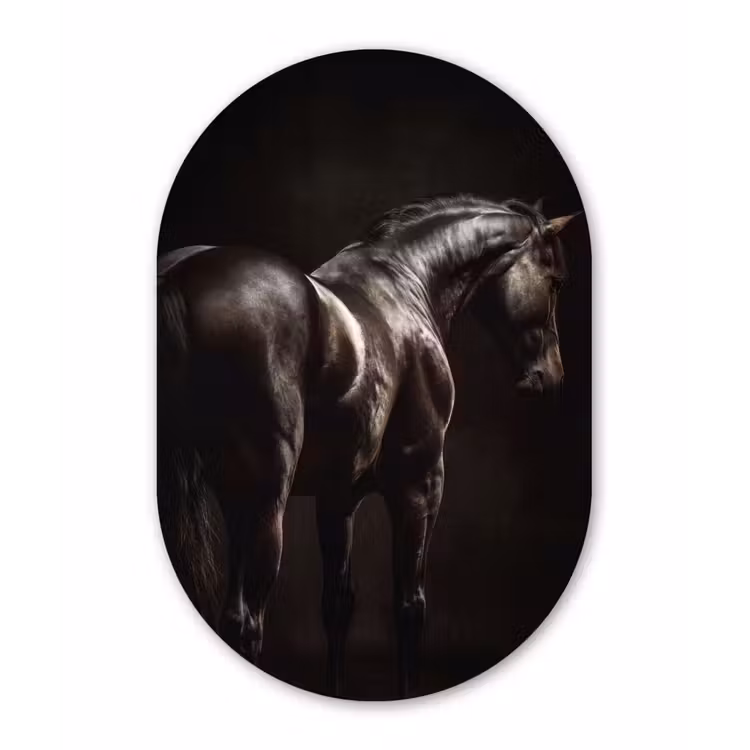 Krachtig - Paard - Donker Wandcirkel Ovaal Aluminium middel -3d