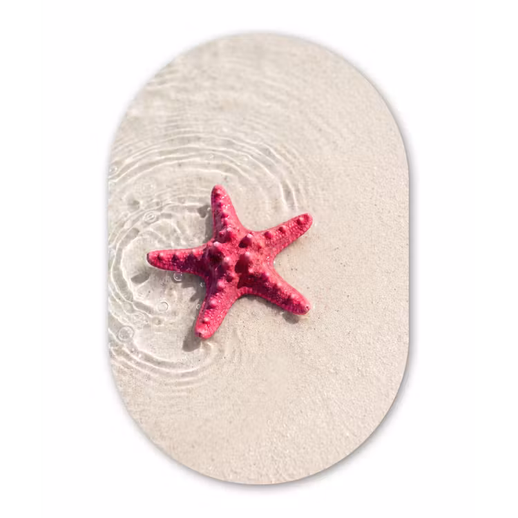Zeeleven - Zeester - Strand - Roze - Water Wandcirkel Ovaal Aluminium middel -3d