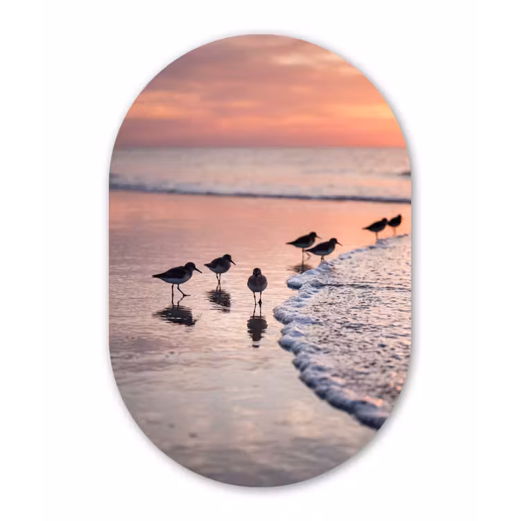 Meeuwen - Strand - Zee - Roze Wandcirkel Ovaal Aluminium middel -3d