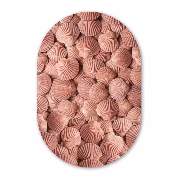 Schelpen - Patroon - Roze Wandcirkel Ovaal Aluminium middel -3d