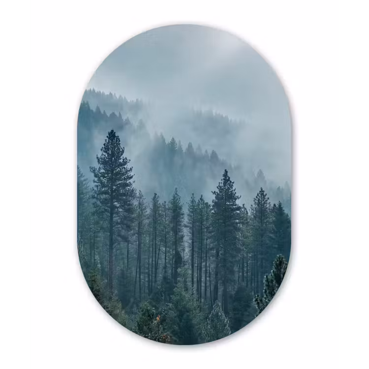 Naaldwoud - Bergen - Mist Wandcirkel Ovaal Aluminium middel -3d