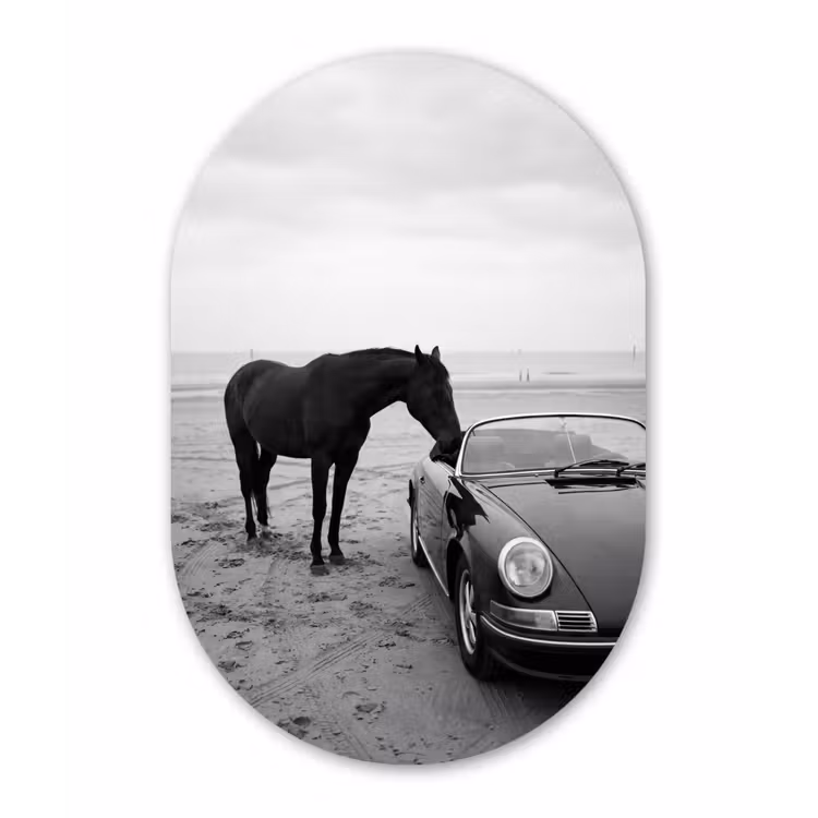 Paard - Auto - Zwart - Wit Wandcirkel Ovaal Aluminium middel -3d